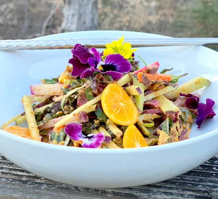 Napa cabbage salad with Thai peanut butter dressing. This may well be the most delicious salad recipe you'll ever eat!