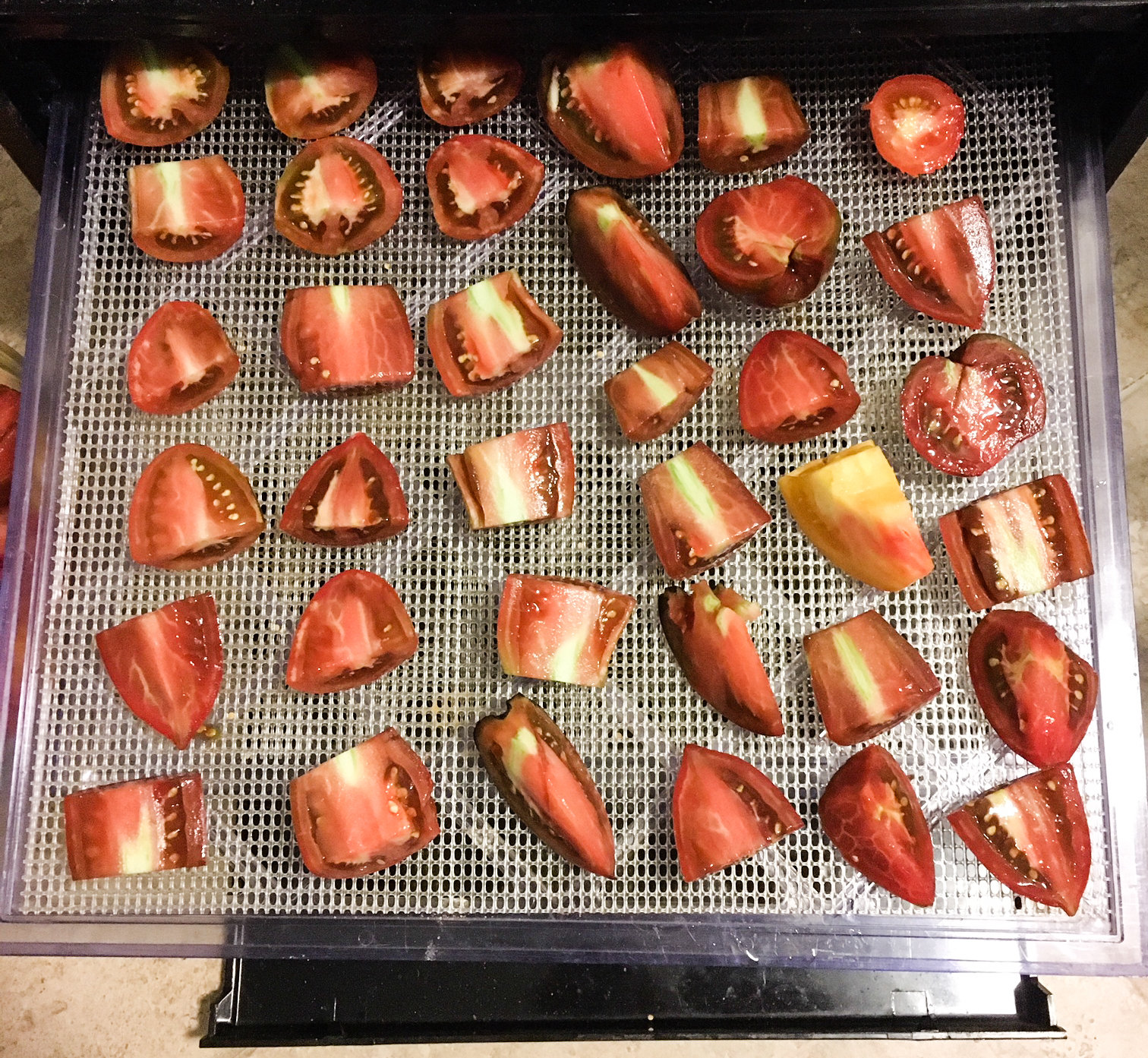 One rack of tomatoes before dehydration. What percent of a tomato is water weight?