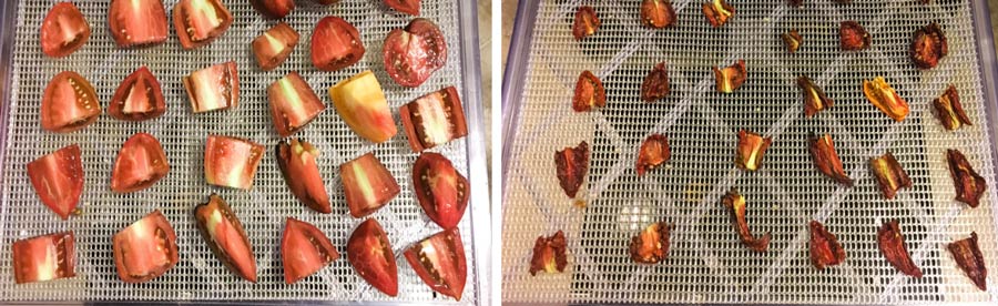 What percent of a tomato is water? thumbnail