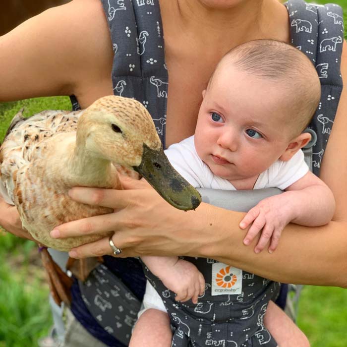 Sebastian spending some time with the family ducks. This has nothing to do with breastfeeding, but we can't publish an article without at least mentioning our feathered family members.