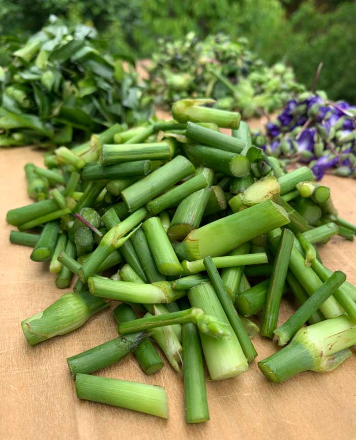 Tradescantia virginiana stems chopped and ready for cooking.
