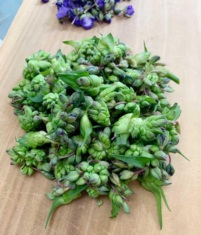 A nice pile of Tradescantia virginiana flower buds, our favorite part of the plant.