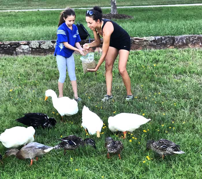 The Tyrant and our niece feeding ducks Mazuri waterfowl feed at a popular nearby pond in Greenville, SC. If you know ducks, you'll notice the domesticated breeds: Pekins and Cayuga, mixed in with wild Mallards. These ducks were someone's pets that were irresponsibly dumped on the pond. 