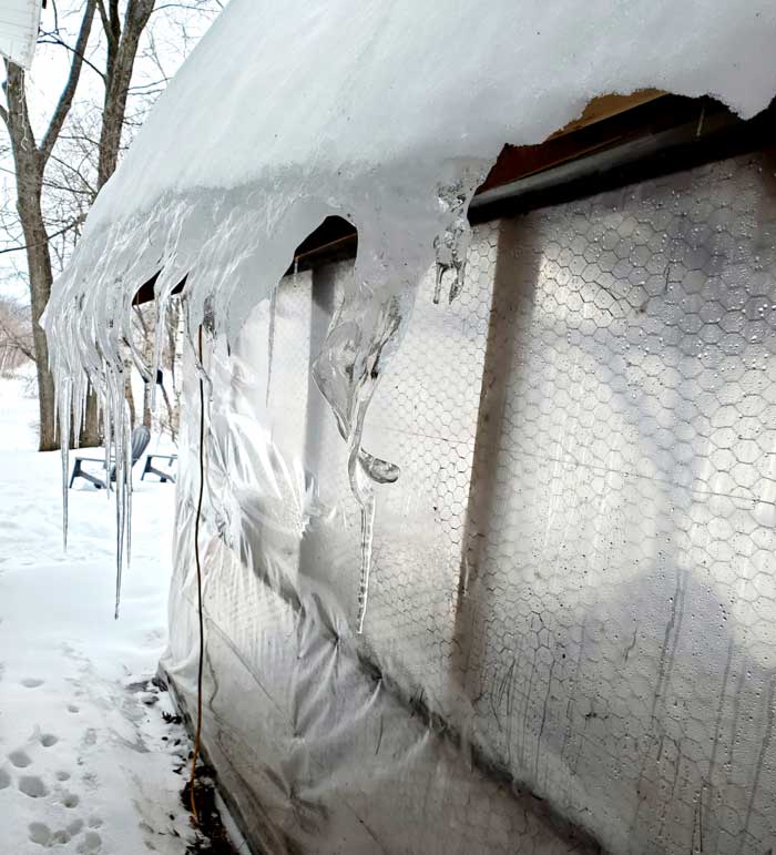 Ice wall? Nope, that's the roof on Brittany's duck run.