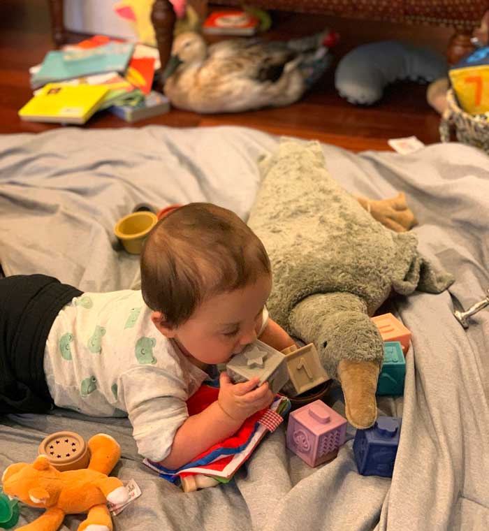 Sebastian the Baby enjoying chewing his silicone blocks. Jackson the Duck (background) is also appalled by the messiness of human offspring. 