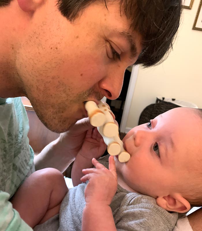 Dad and baby enjoying a shared chew on the hooves and legs of Sophie the Giraffe. 