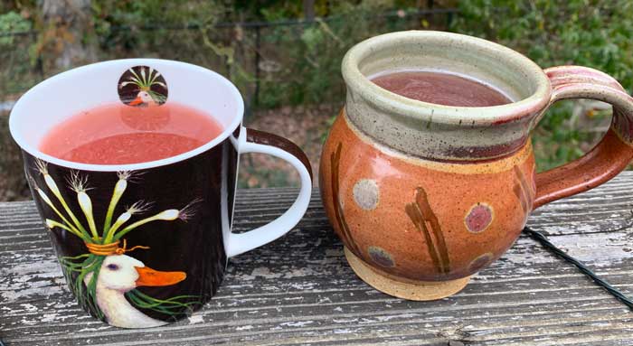 Beautyberry tea looks and tastes almost identical to hibiscus tea made from Hibiscus sabdariffa calyxes.