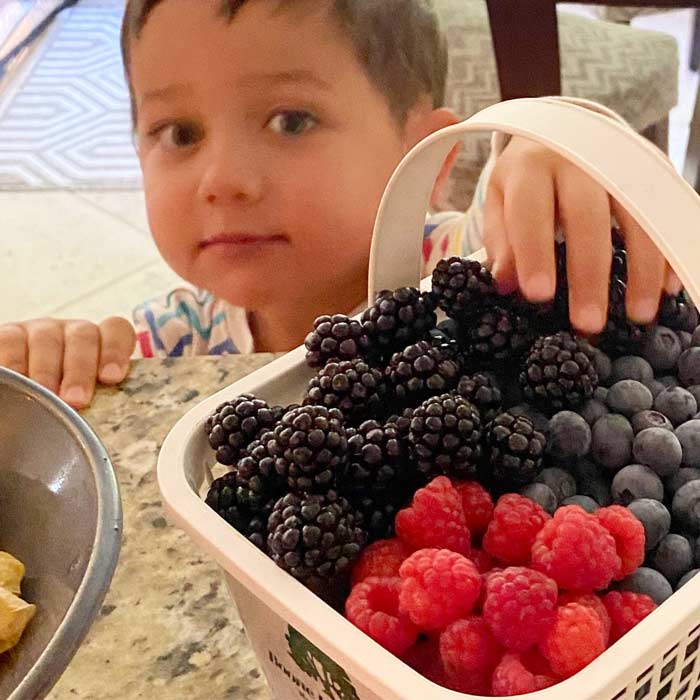 Homegrown berries grown with zero pesticides. We prefer not to apply poisons to the landscape where we live, play, eat, and raise ducks. 