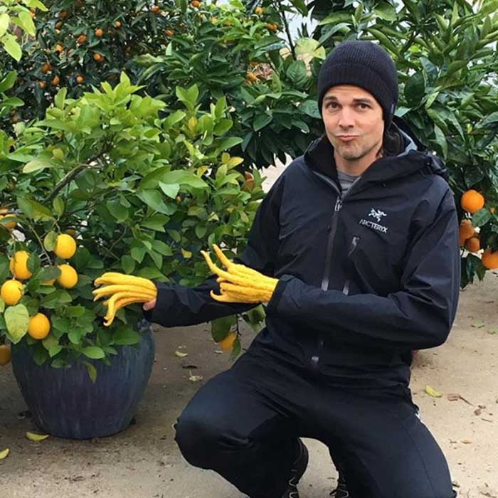 Buddha's hands citron hands? Why not. Making a weird face while tending our potted citrus on a chilly day.