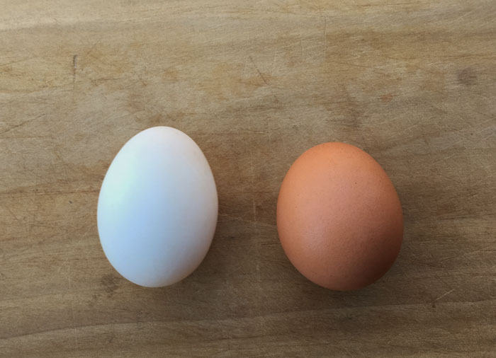 Duck Eggs Vs Chicken Eggs How Do They Compare Tyrant Farms