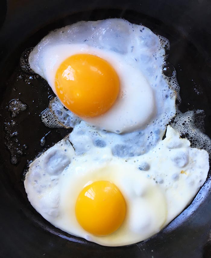 duck-eggs-vs-chicken-eggs-how-do-they-compare-tyrant-farms