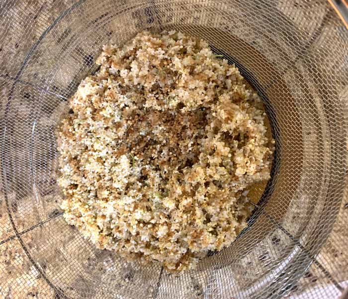 Straining elderflowers to make elderflower kombucha.