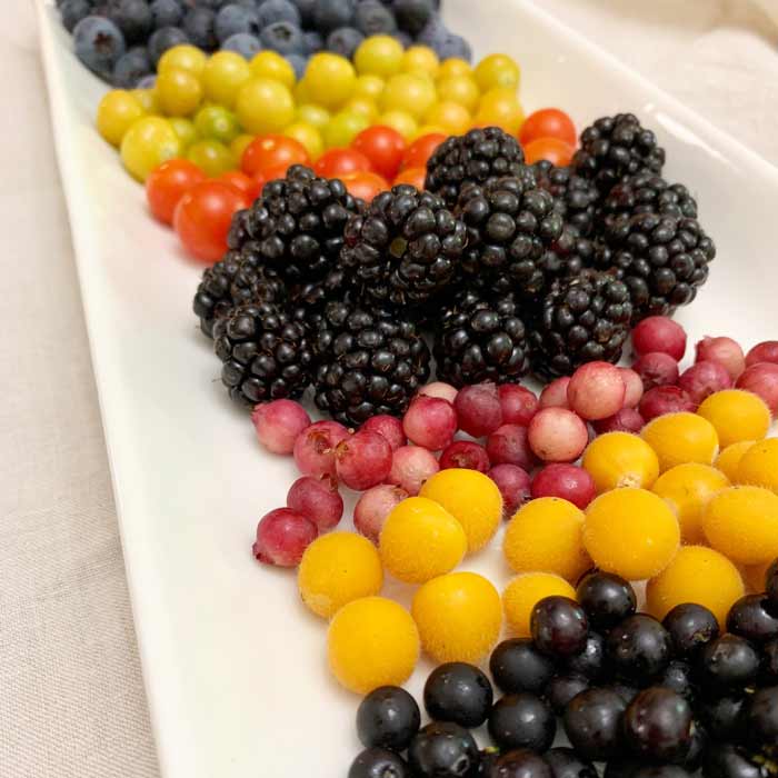An early summer fruit offering for The Tyrant. Back to front: blueberries, ground cherries, tomatoes (technically a fruit, but not included in this article), blackberries, pink lemonade blueberries, dwarf tamarillos, and wonderberries.