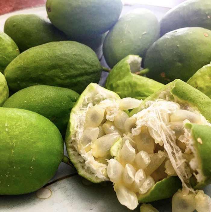 Growing up, we called our native passionfruit