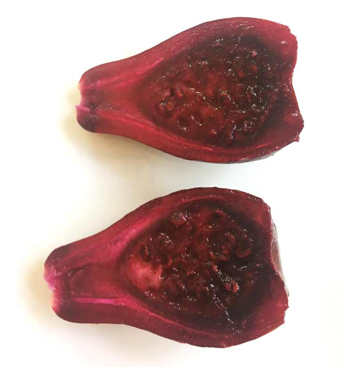 Bright red prickly pear fruit from one of our prickly pear cacti.