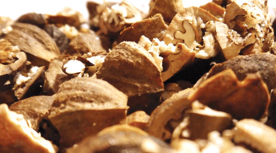 Recipe: Hickory nut ambrosia, an easy-to-make fall drink thumbnail