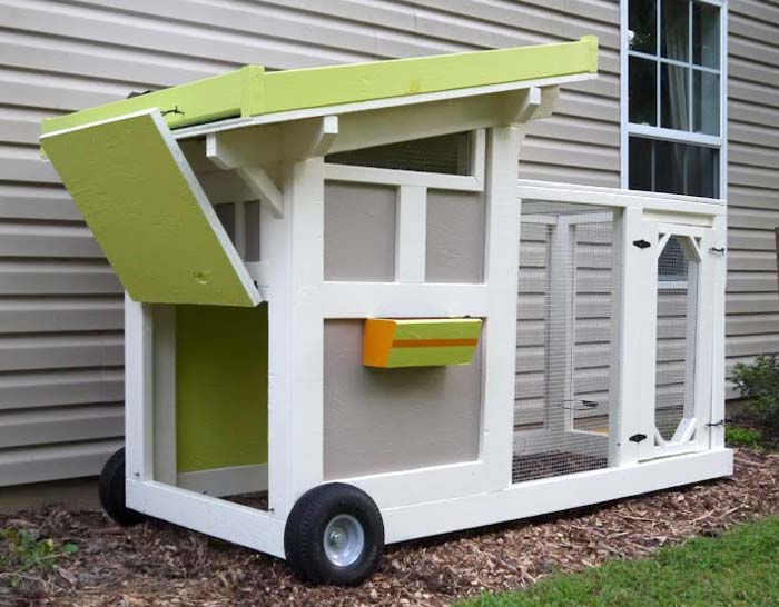 The back door and front door on our relatively small duck coop makes it easy to collect eggs, pull food and water bowls in and out, etc. However, for a larger flock of over ~6 ducks, this coop would not be a good design. A larger, walk-in coop would be preferable. 