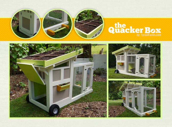 Our first duck coop: the Quacker Box, built to accommodate 4-6 mid weight ducks in our hot climate. 