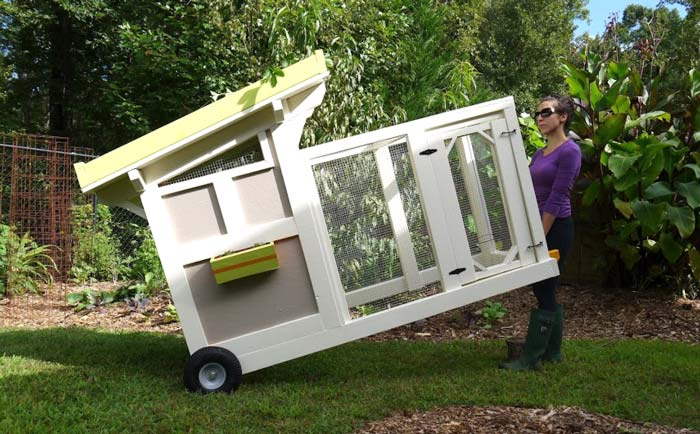 The Tyrant moving the Quacker Box into a new position. We new we'd be moving our duck coop around seasonally and/or until we found the right permanent spot, so we built it to have removable wheels. Once the wheels are removed, it sits flat on the ground atop protective wire mesh with bedding on top of the wire to protect delicate duck flippers. 