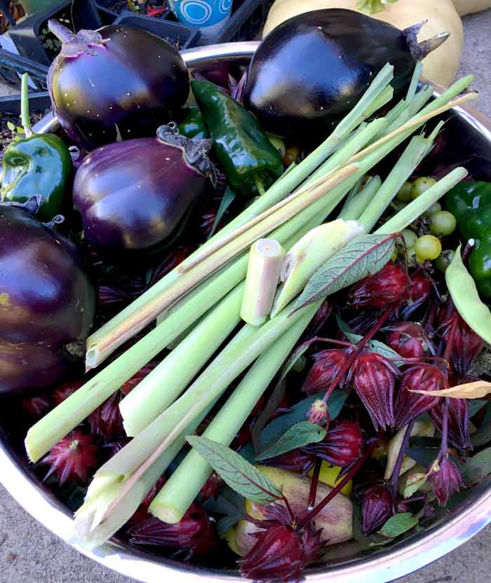Two of our favorite summer flavors in the same harvest bowl: lemongrass and Hibsicus sabdariffa calyxes.