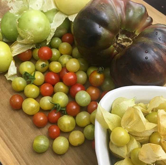 Raw Salsa Verde Recipe With Homegrown Tomatillos - Tyrant ...