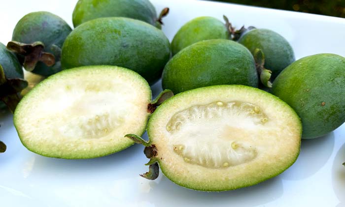 Most pineapple guava varieties are not self-fertile. As such, if you want fruit, you need to grow at least one other genetically distinct plant/variety unless you select a self-fertile variety.