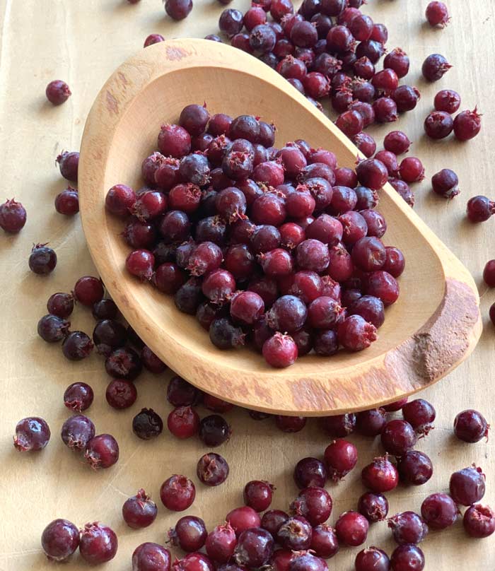 Serviceberries, a delicious native fruit you should get to know.